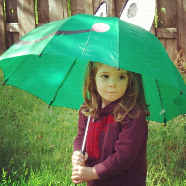 Wordless Wednesday Frog Umbrella The Caterpillar Years