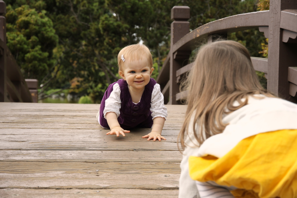 11-months-the-caterpillar-years